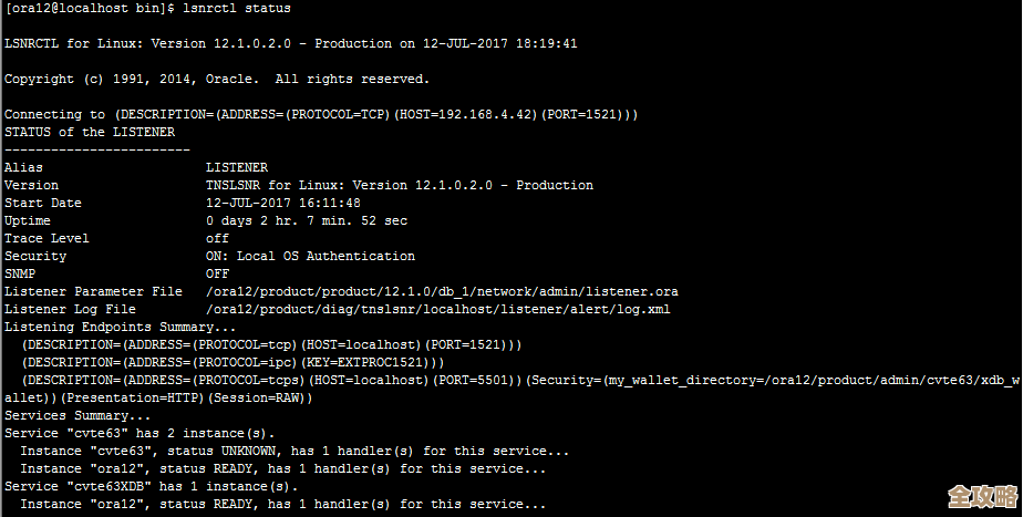 ORA-29271错误没连上数据库，远程处理故障咋整才好呢